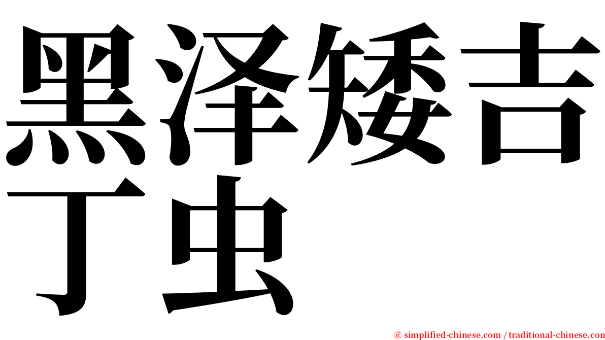 黑泽矮吉丁虫 serif font