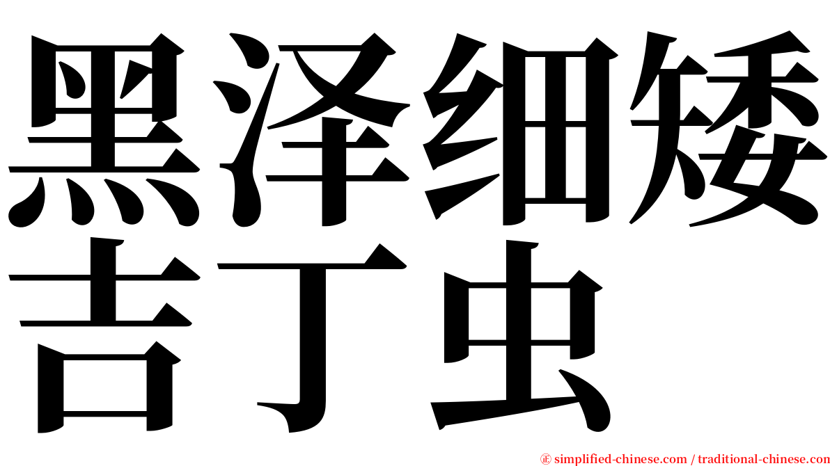 黑泽细矮吉丁虫 serif font