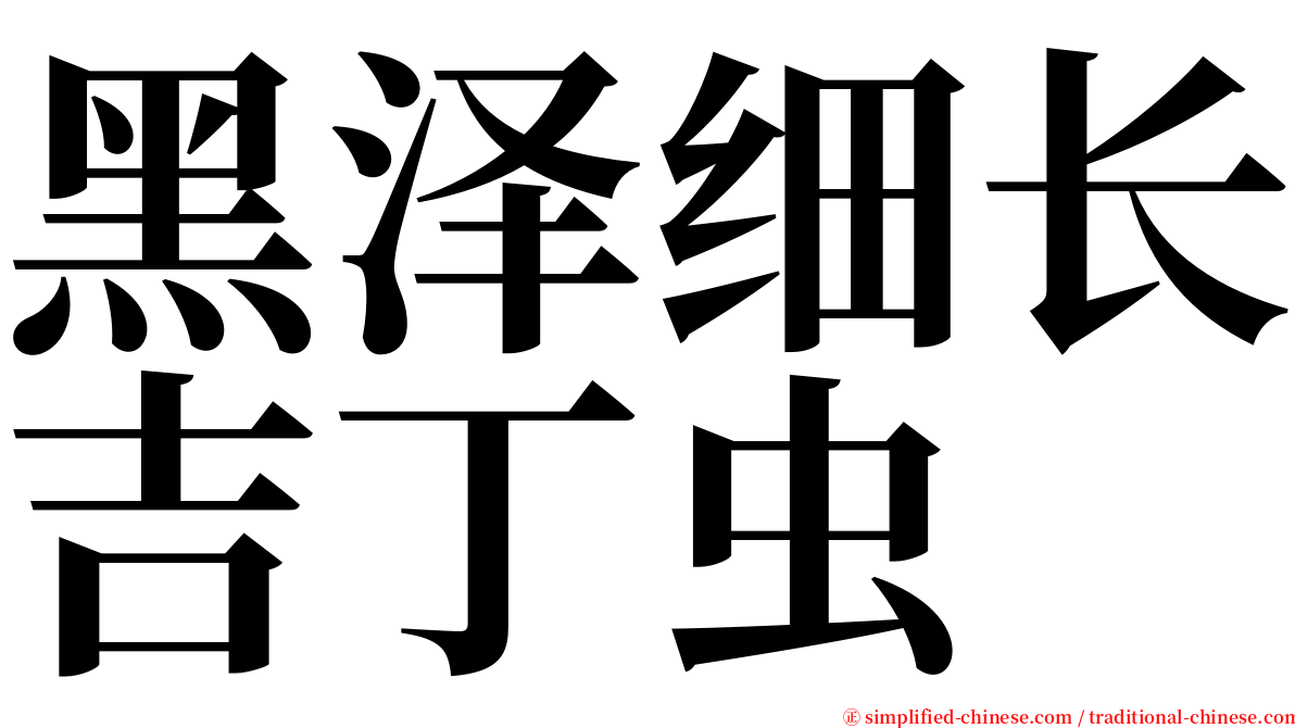 黑泽细长吉丁虫 serif font