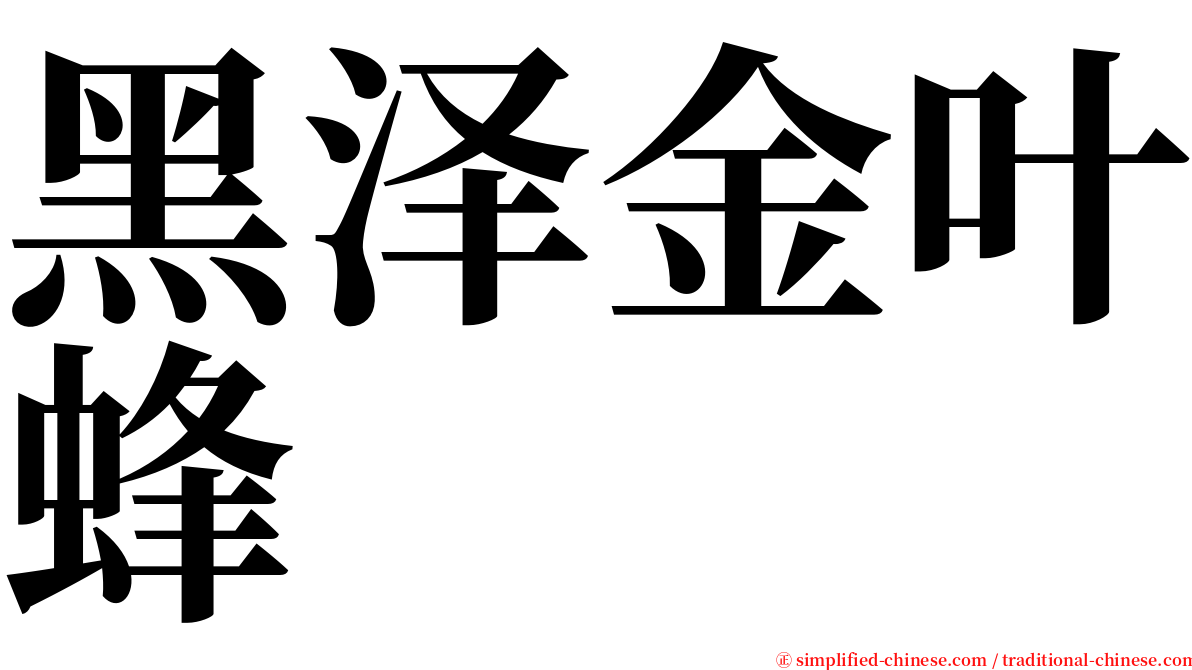 黑泽金叶蜂 serif font