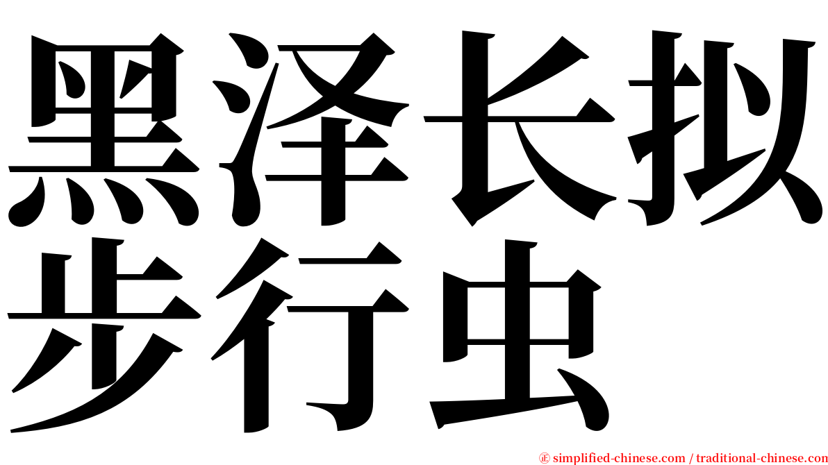 黑泽长拟步行虫 serif font