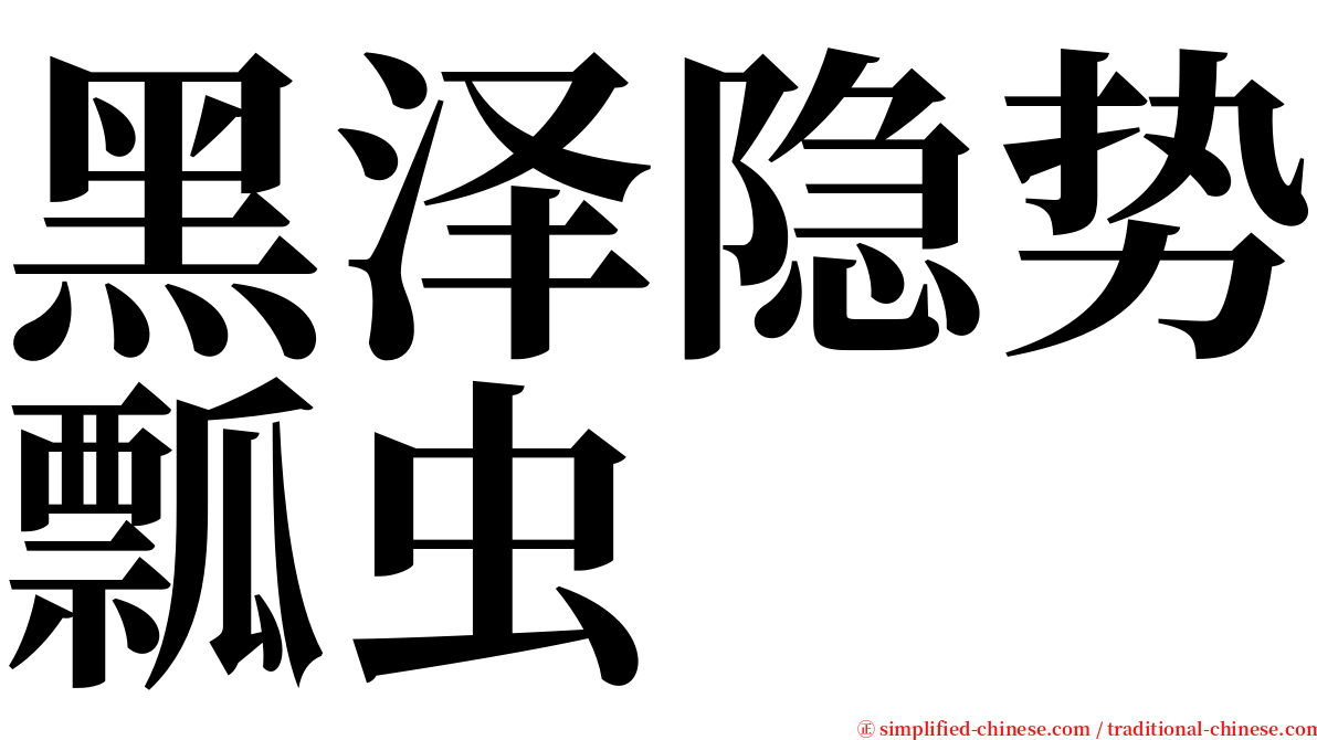 黑泽隐势瓢虫 serif font