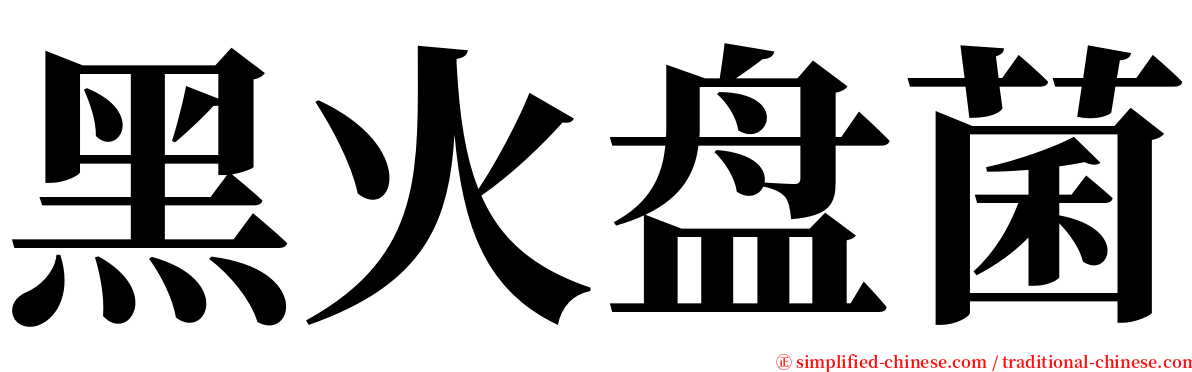 黑火盘菌 serif font