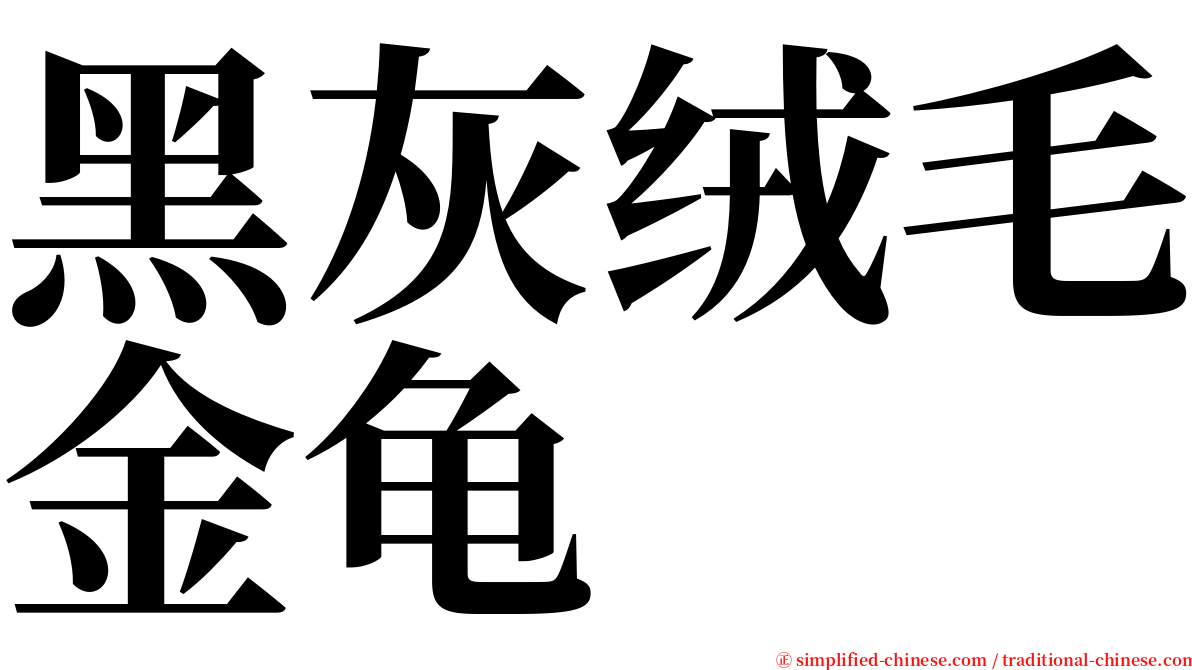 黑灰绒毛金龟 serif font