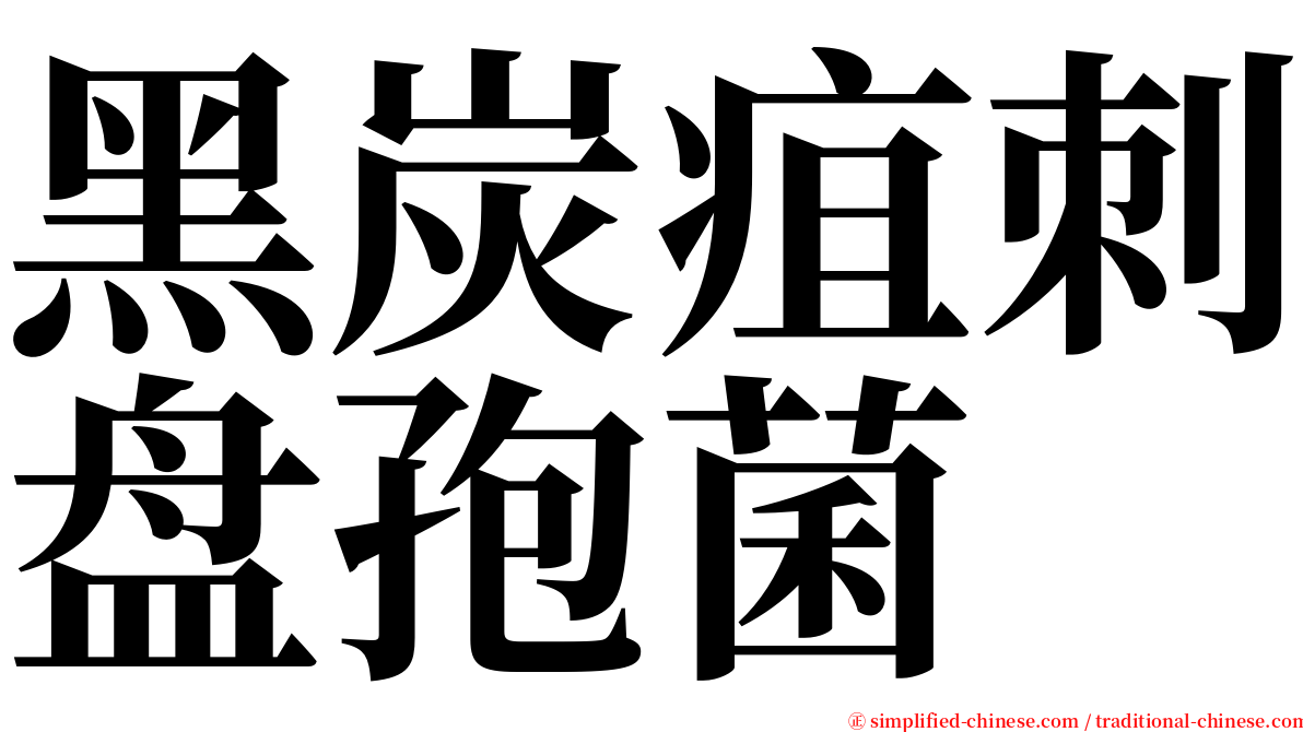 黑炭疽刺盘孢菌 serif font