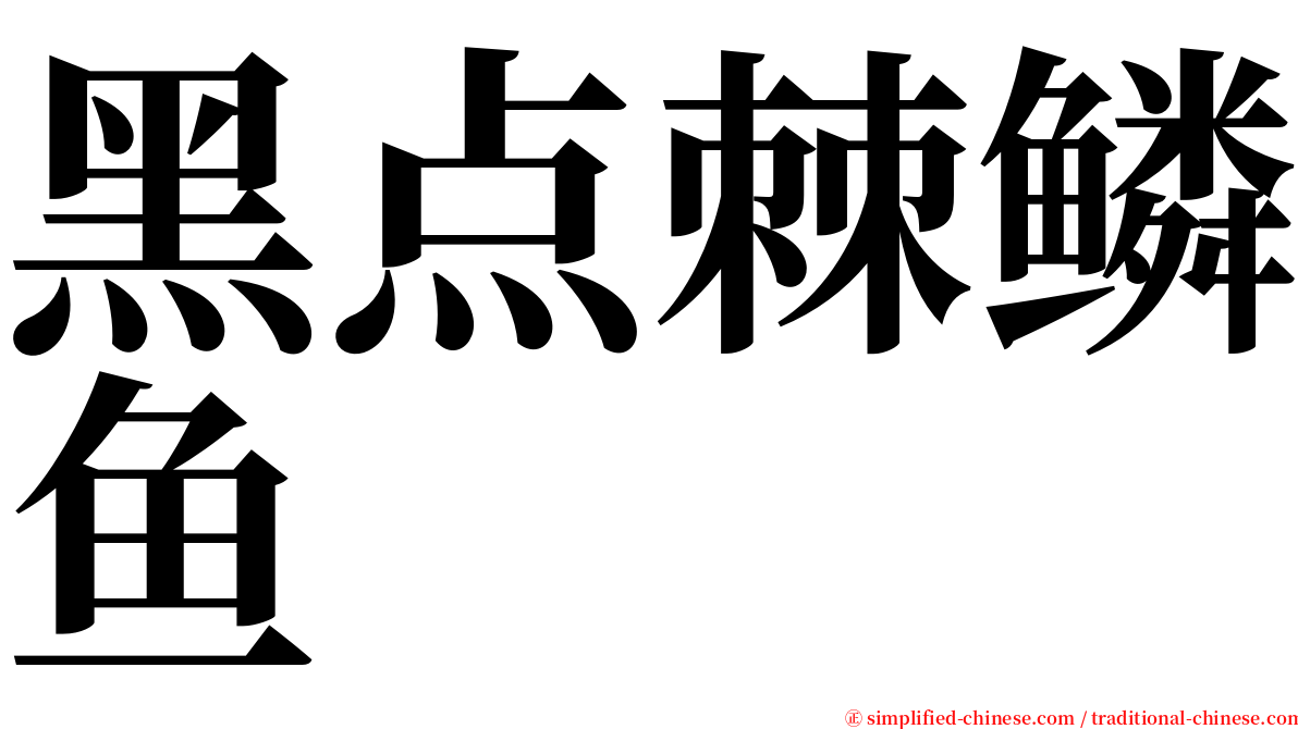 黑点棘鳞鱼 serif font