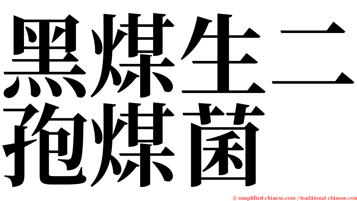 黑煤生二孢煤菌 serif font