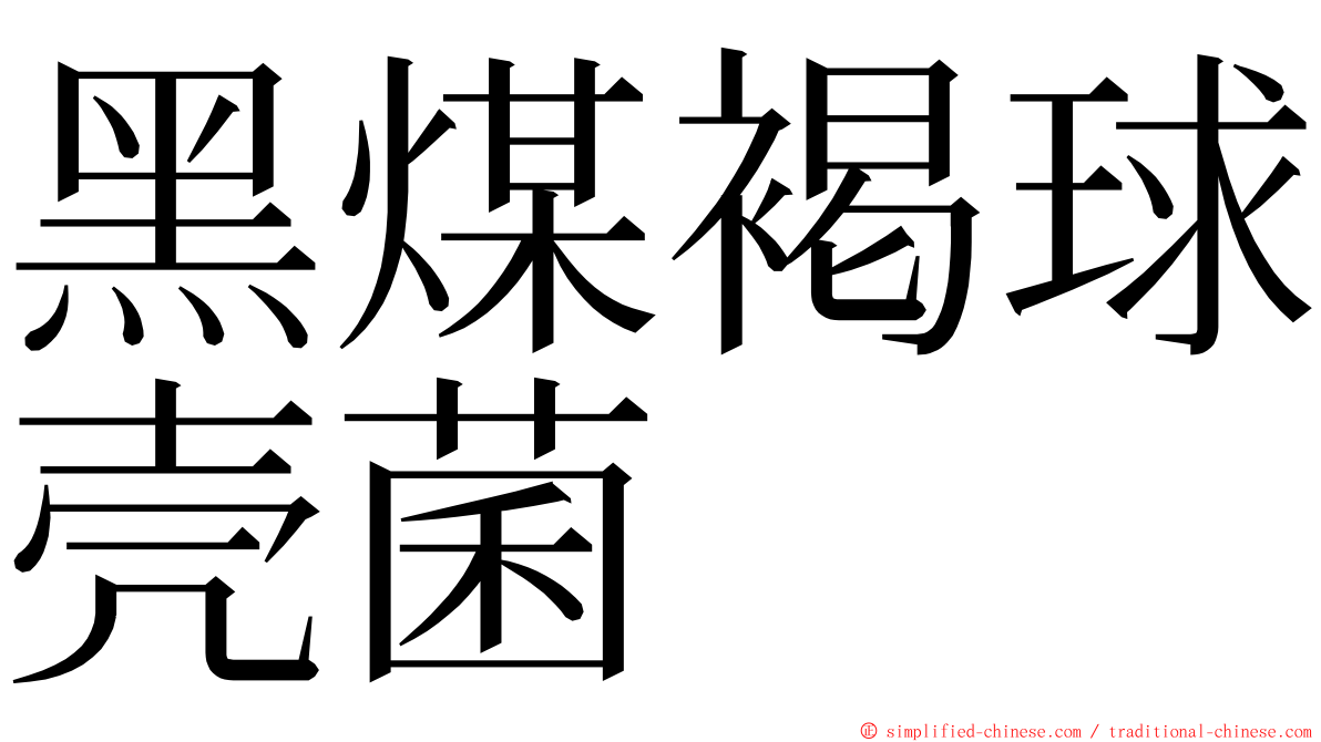 黑煤褐球壳菌 ming font