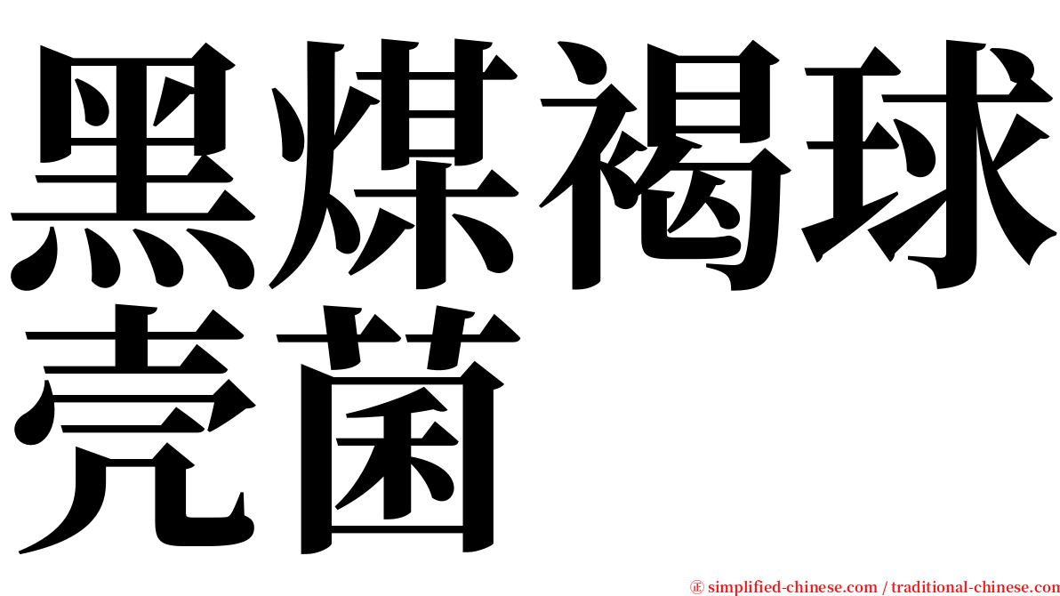 黑煤褐球壳菌 serif font