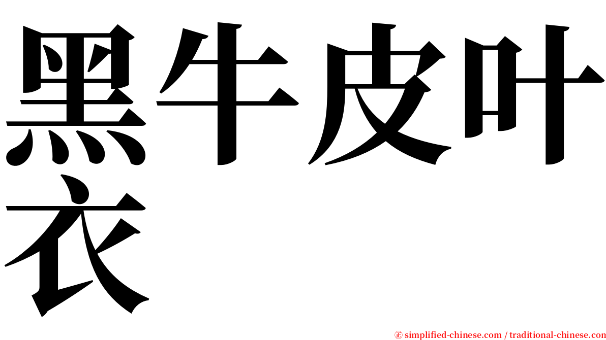 黑牛皮叶衣 serif font