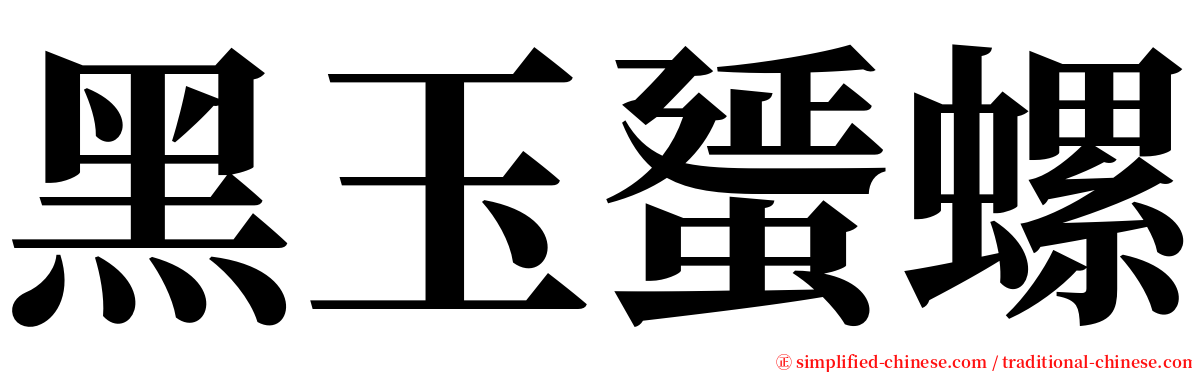 黑玉蜑螺 serif font