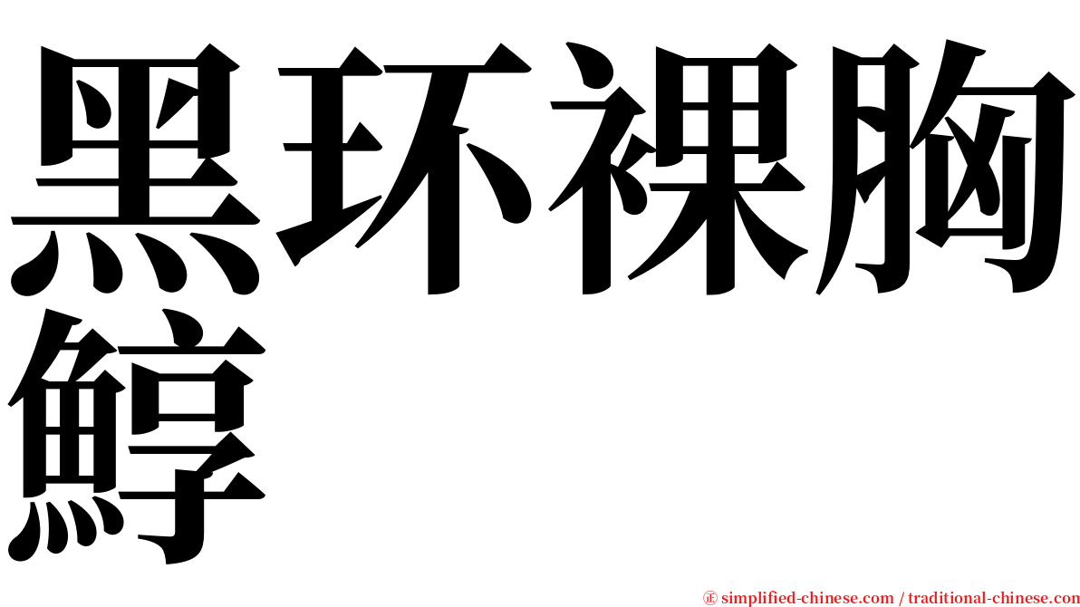 黑环裸胸鯙 serif font