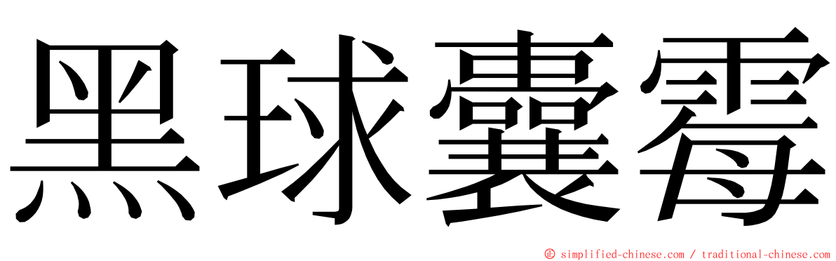 黑球囊霉 ming font