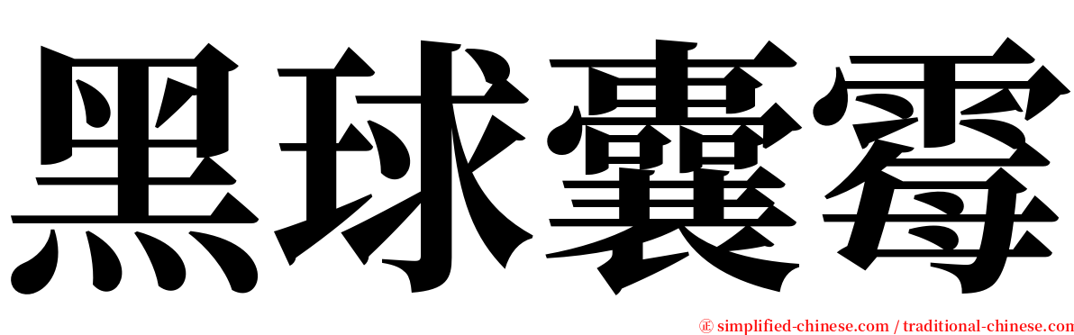 黑球囊霉 serif font