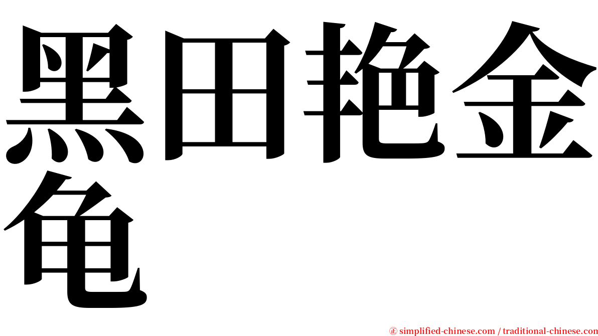 黑田艳金龟 serif font