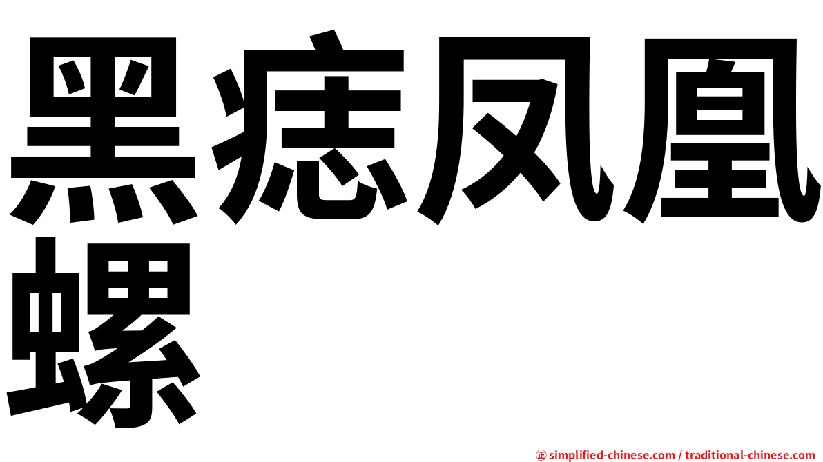 黑痣凤凰螺