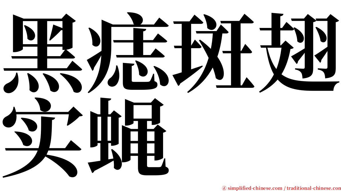 黑痣斑翅实蝇 serif font