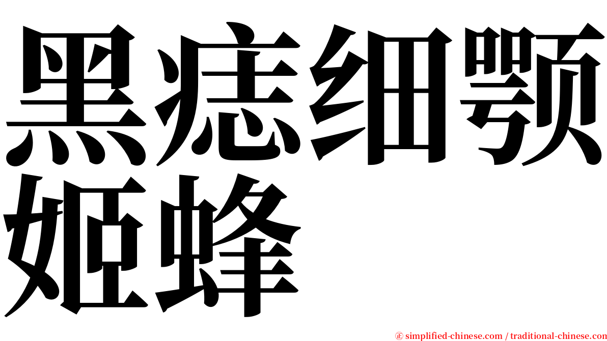 黑痣细颚姬蜂 serif font