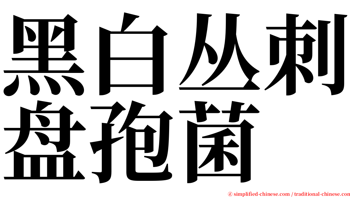 黑白丛刺盘孢菌 serif font