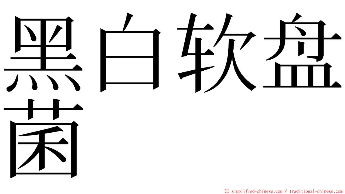 黑白软盘菌 ming font