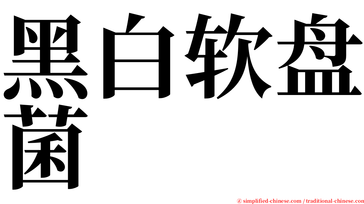 黑白软盘菌 serif font