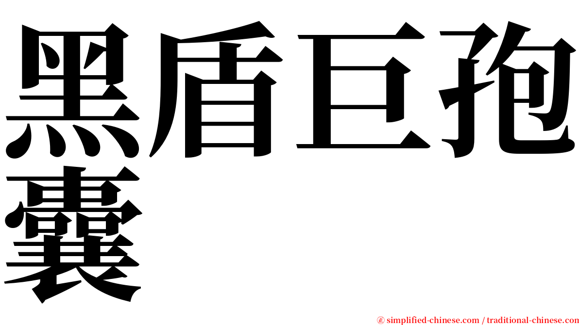 黑盾巨孢囊 serif font