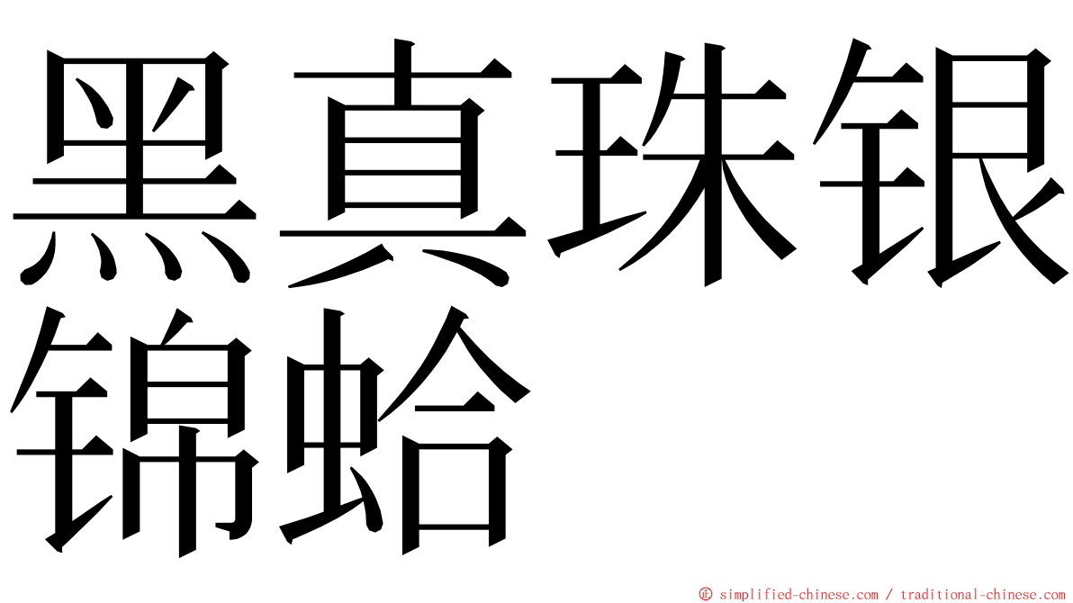 黑真珠银锦蛤 ming font