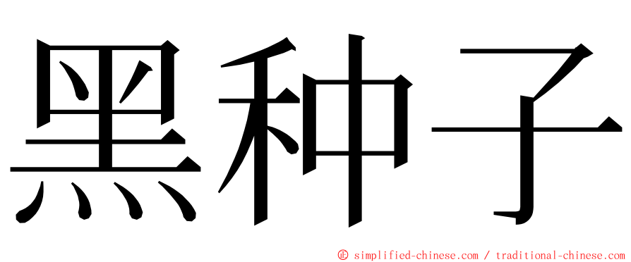 黑种子 ming font