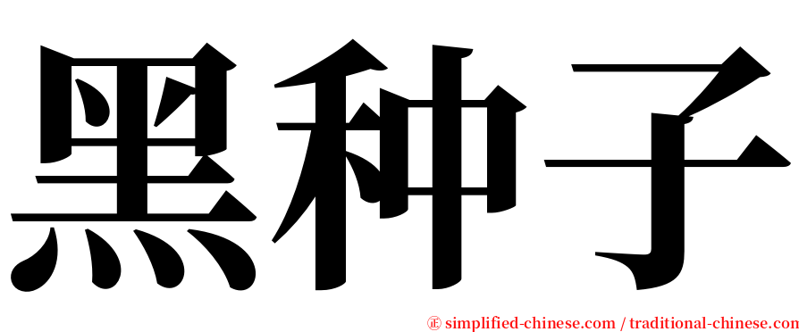 黑种子 serif font