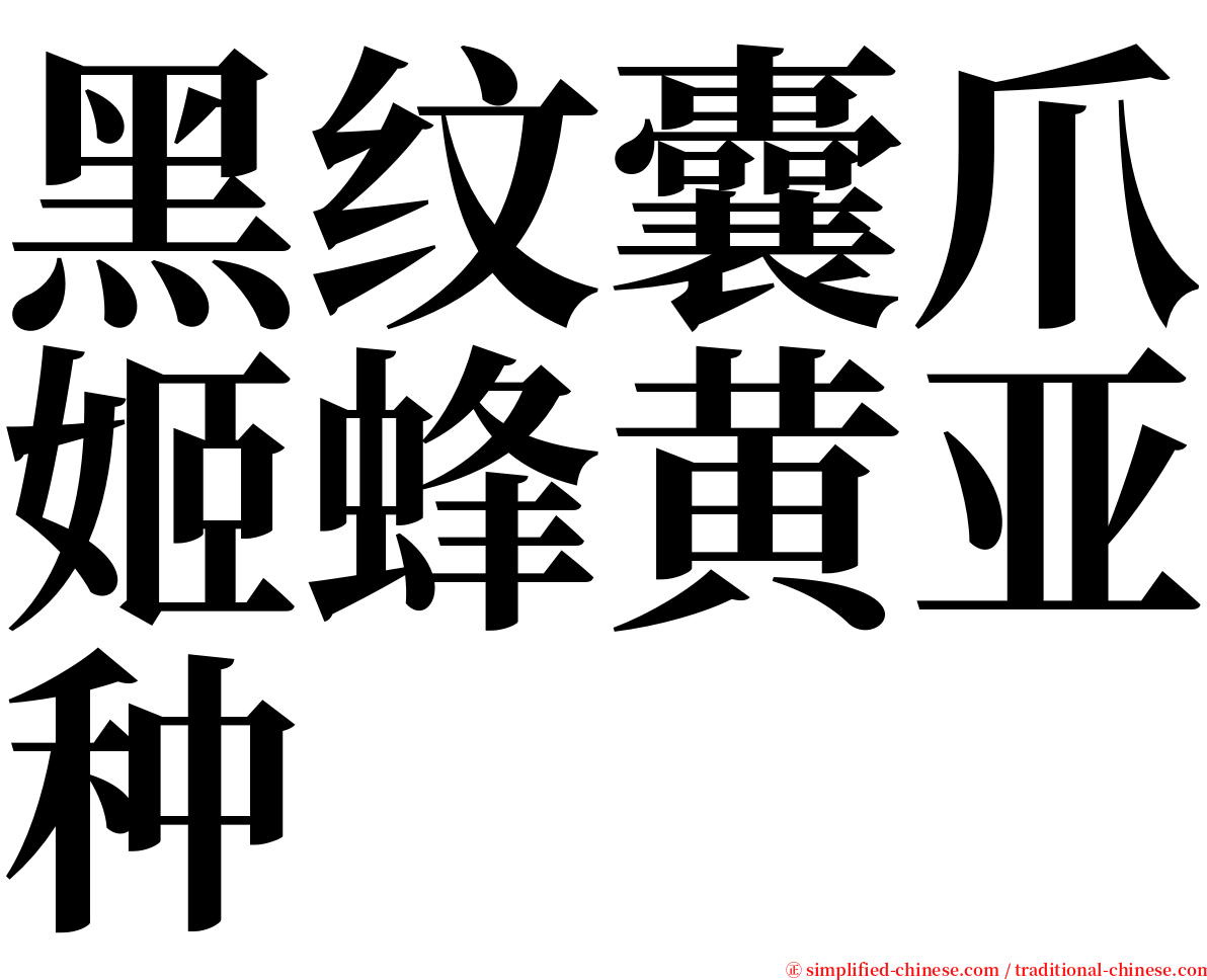 黑纹囊爪姬蜂黄亚种 serif font