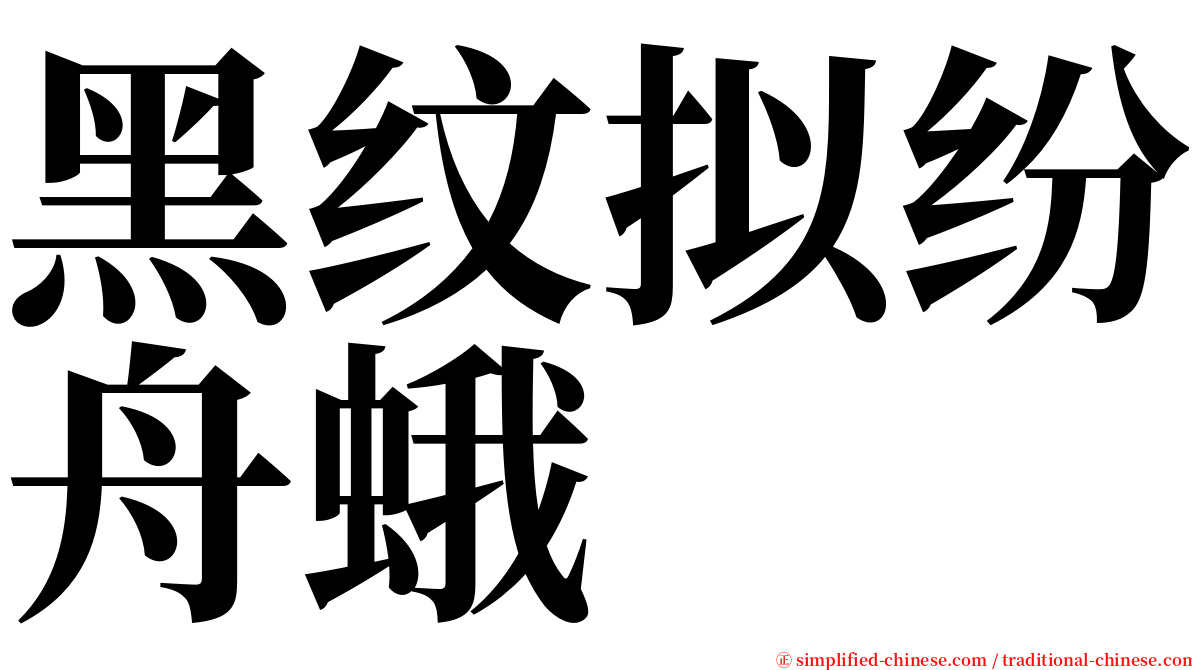 黑纹拟纷舟蛾 serif font