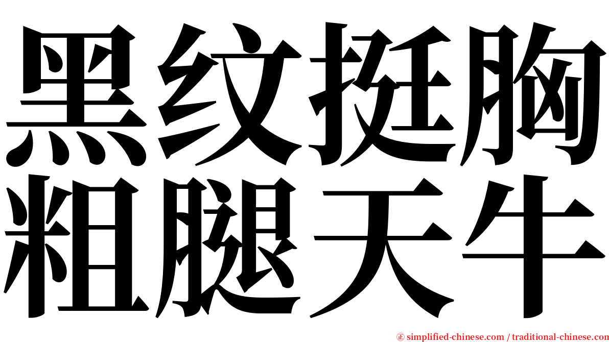 黑纹挺胸粗腿天牛 serif font