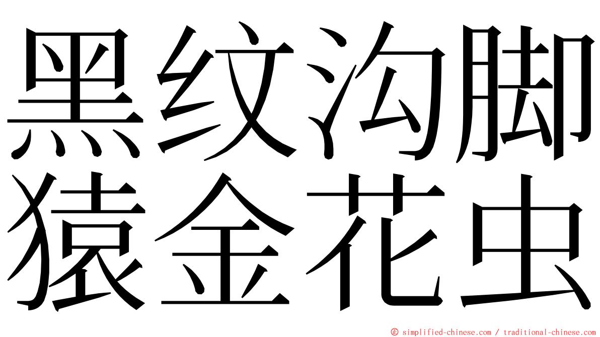 黑纹沟脚猿金花虫 ming font