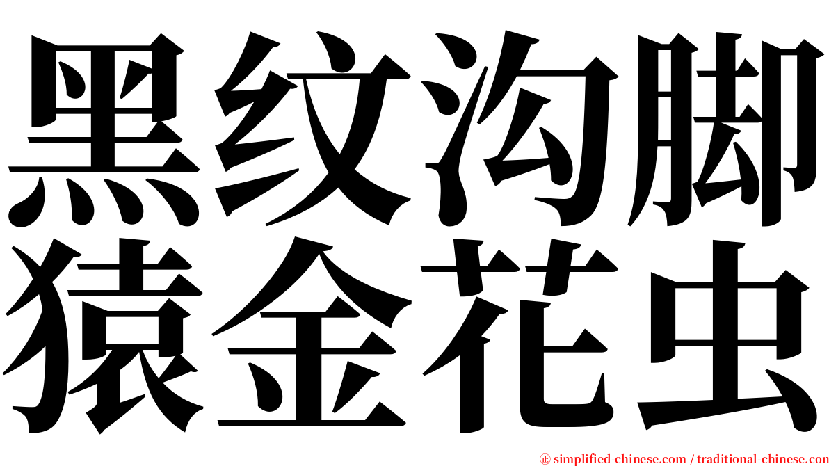 黑纹沟脚猿金花虫 serif font