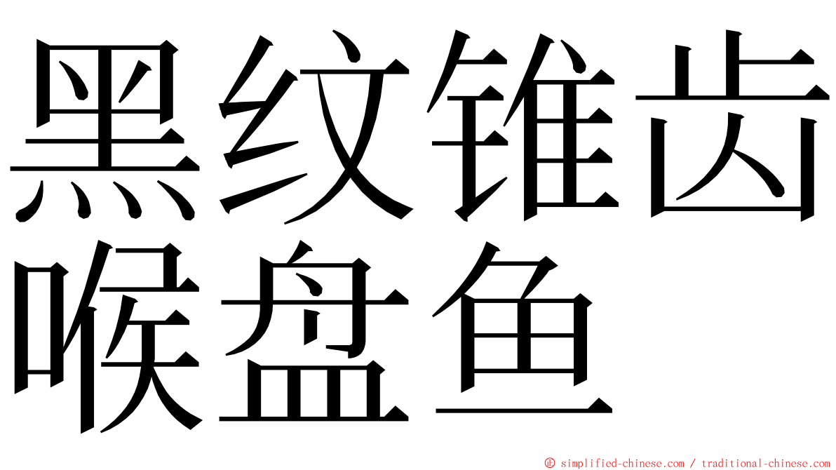 黑纹锥齿喉盘鱼 ming font