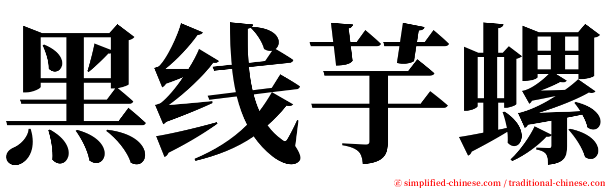 黑线芋螺 serif font