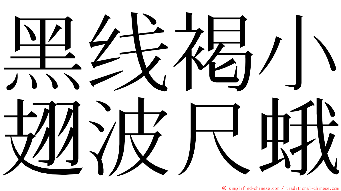 黑线褐小翅波尺蛾 ming font