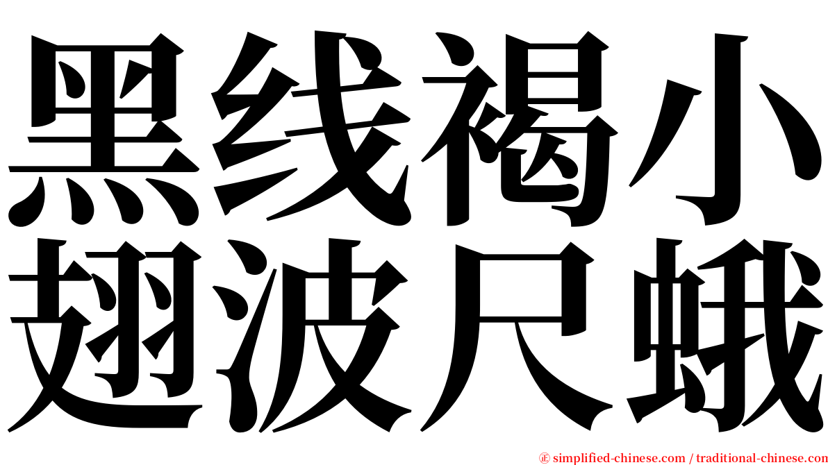 黑线褐小翅波尺蛾 serif font