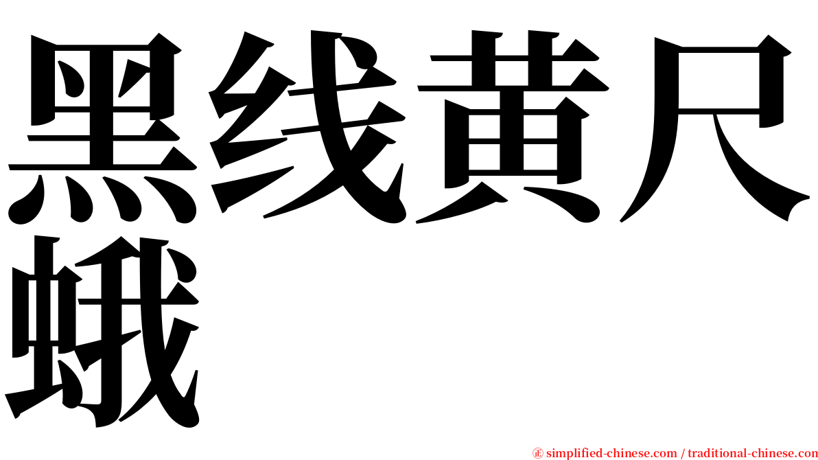 黑线黄尺蛾 serif font