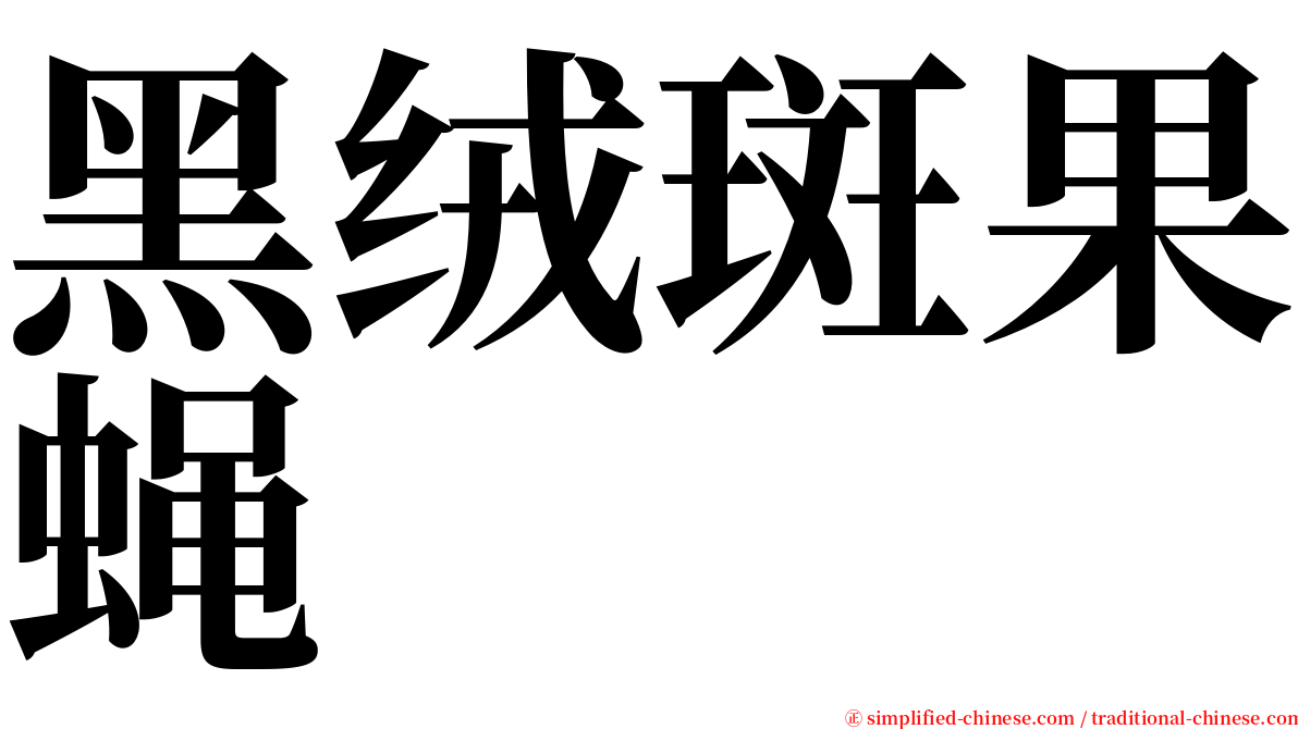 黑绒斑果蝇 serif font