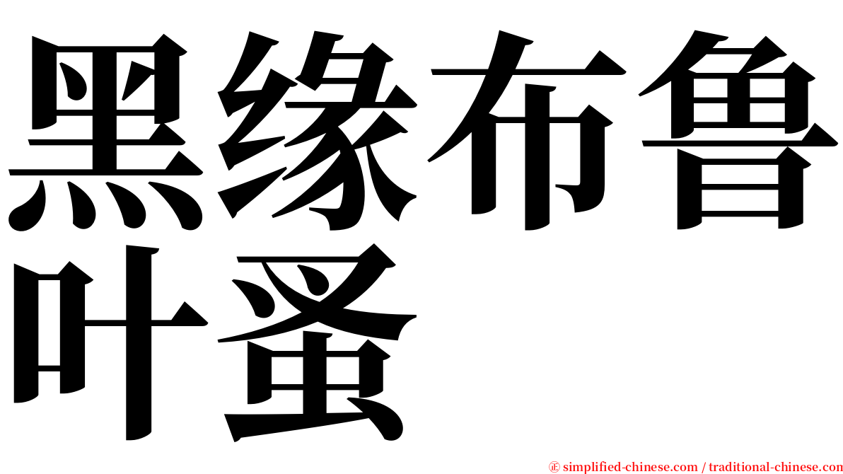 黑缘布鲁叶蚤 serif font