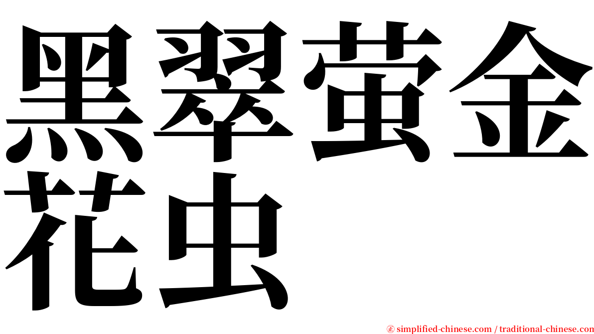 黑翠萤金花虫 serif font