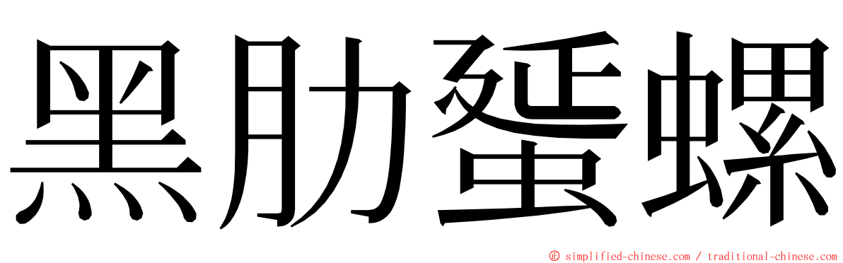 黑肋蜑螺 ming font