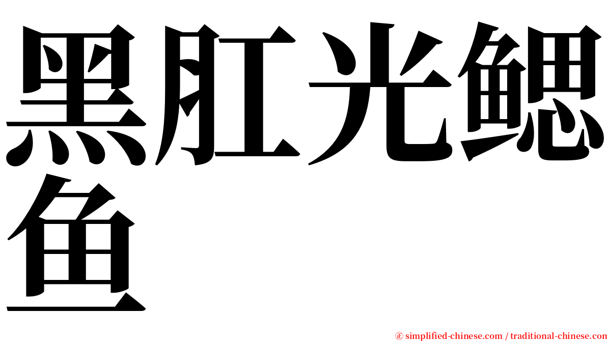 黑肛光鳃鱼 serif font