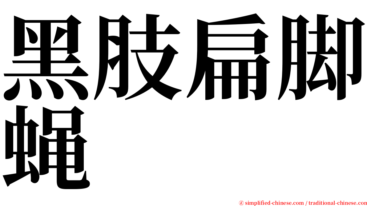 黑肢扁脚蝇 serif font