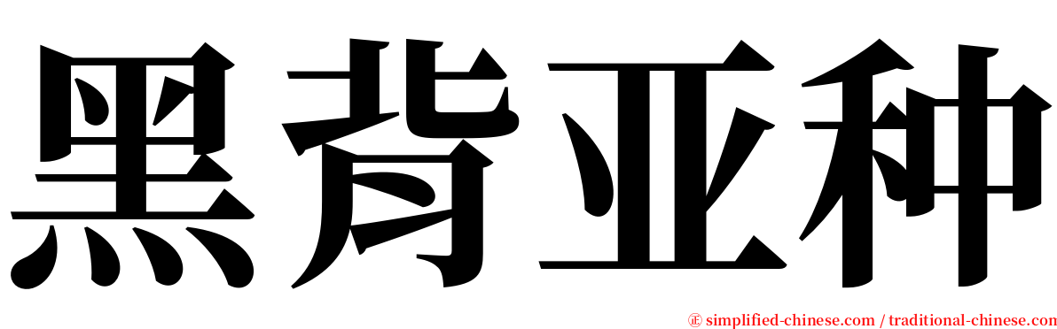 黑背亚种 serif font