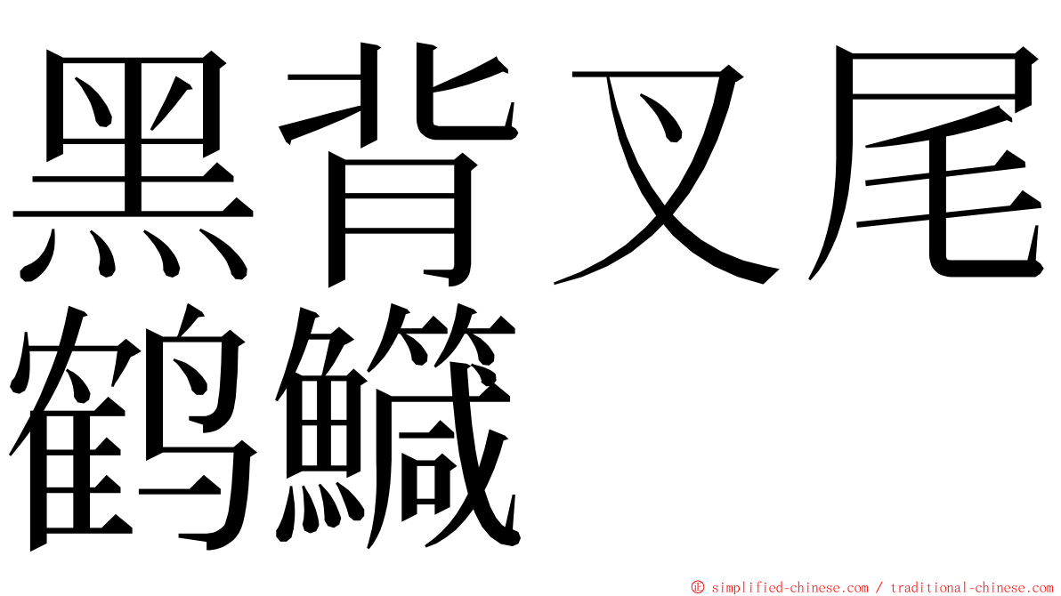 黑背叉尾鹤鱵 ming font