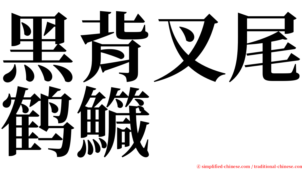 黑背叉尾鹤鱵 serif font