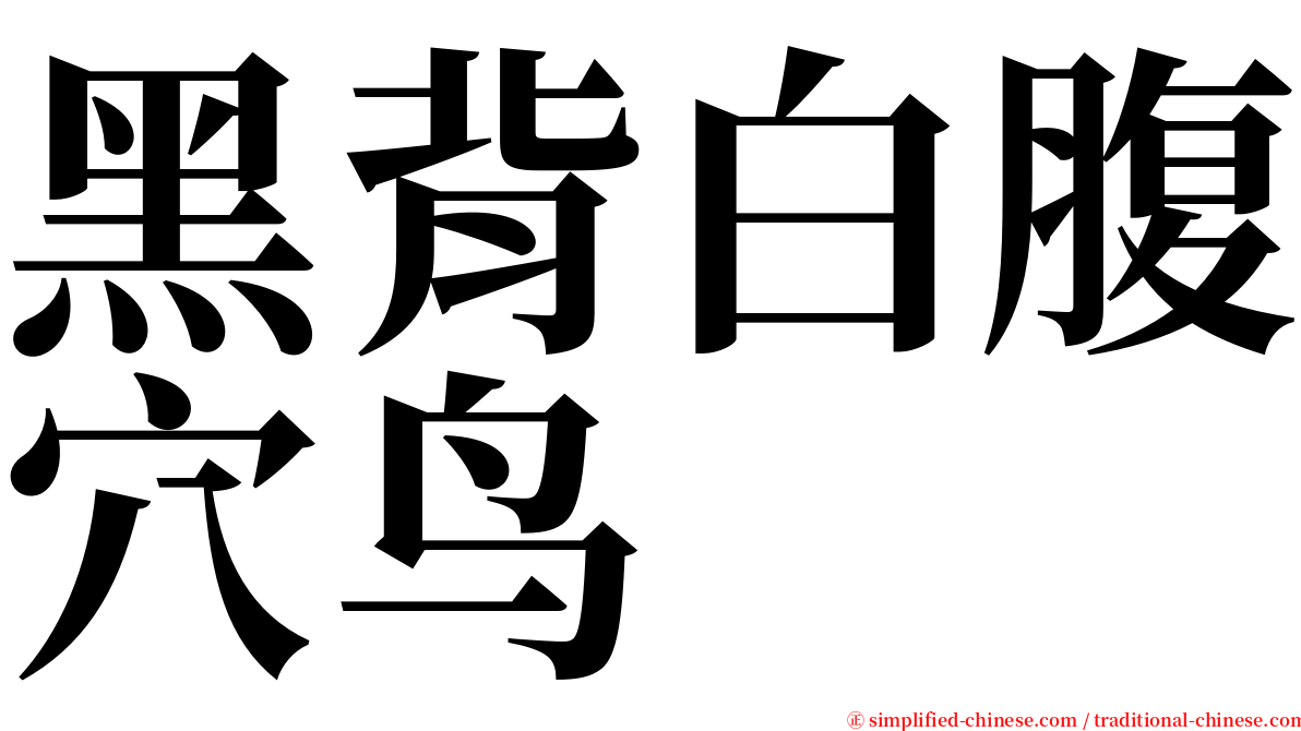 黑背白腹穴鸟 serif font