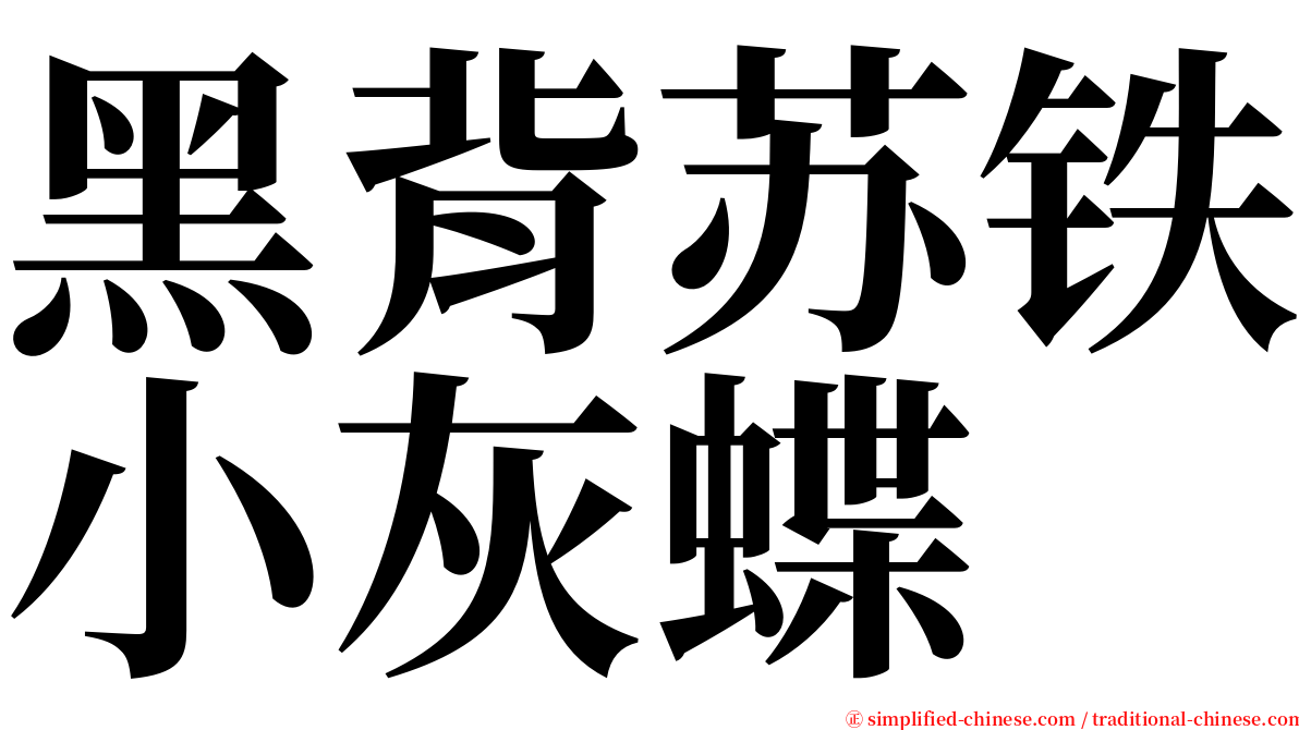 黑背苏铁小灰蝶 serif font